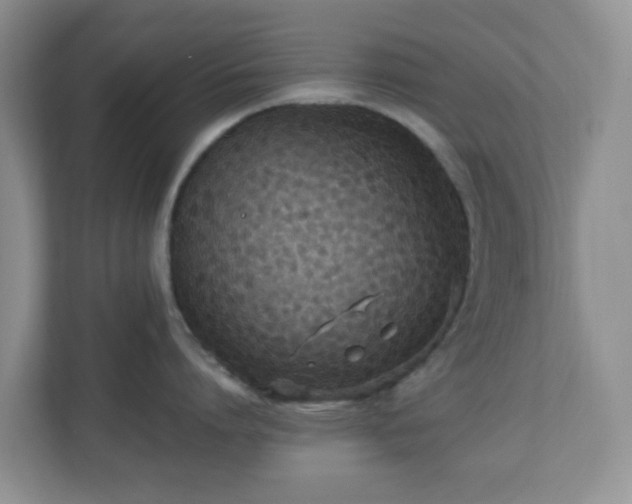 X0000110710864200906191546
