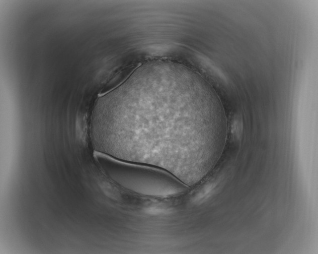 X0000110710868200906191545