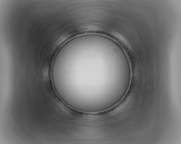 X0000110710873200906191545