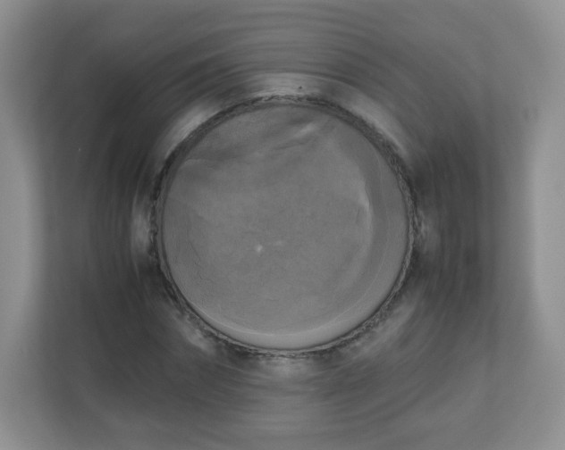 X0000110710874200906191545
