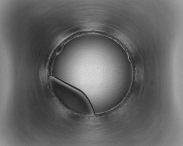 X0000110710876200906191545