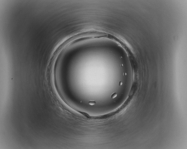 X0000110710877200906191545