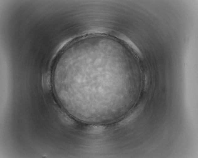 X0000110710878200906191545