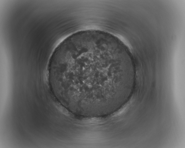 X0000110710879200906191545