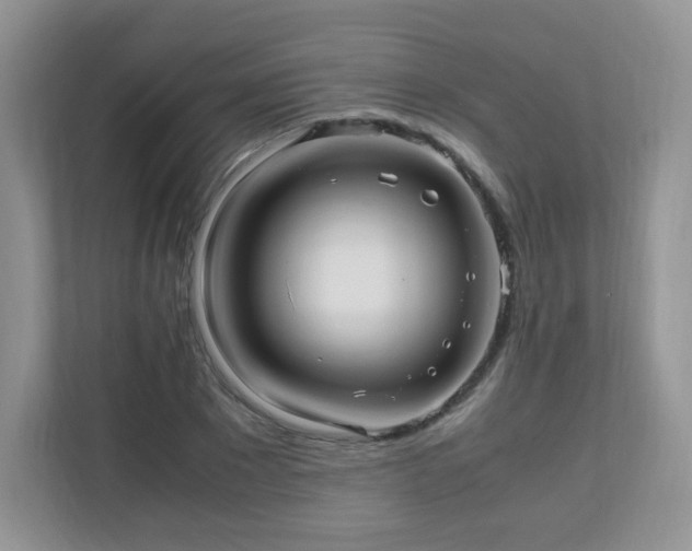 X0000110710881200906191545