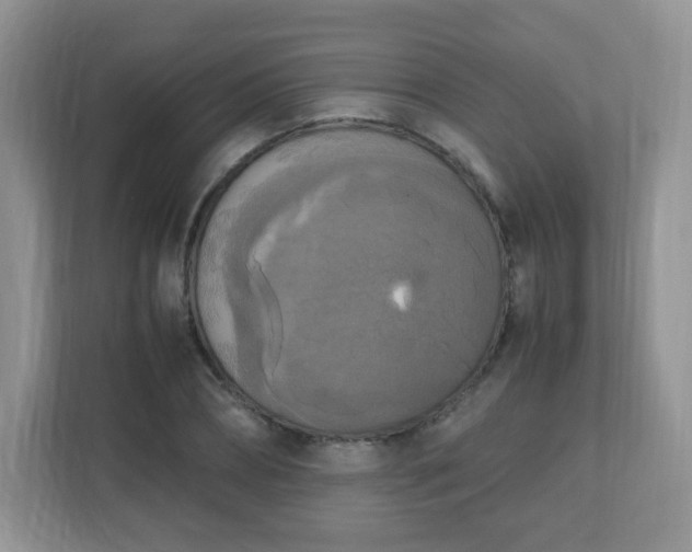 X0000110710882200906191545