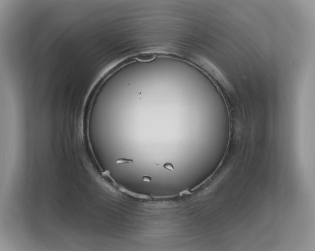 X0000110710884200906191545