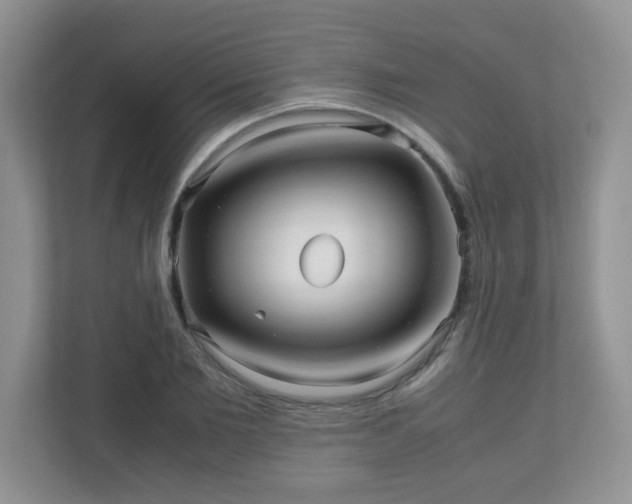 X0000110710885200906191545