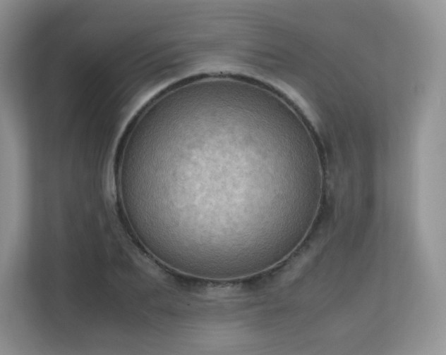 X0000110710887200906191545