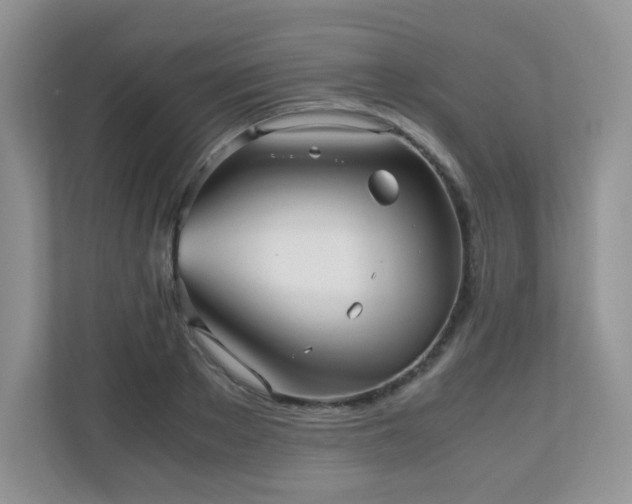 X0000110710889200906191545