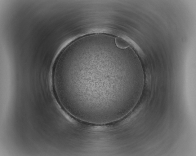 X0000110710894200906191545