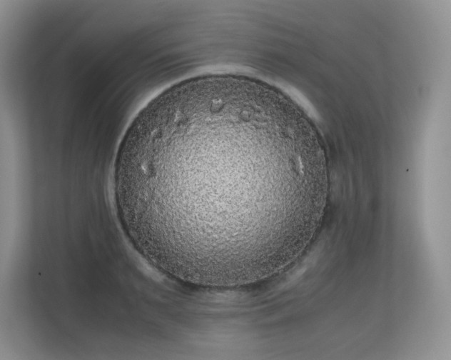X0000110710895200906191545