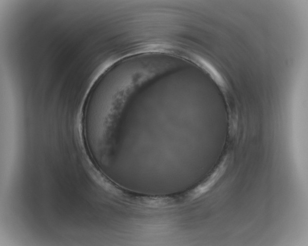 X0000110710899200906191545