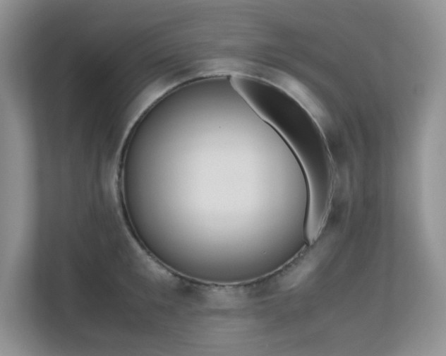 X0000110710901200906191545