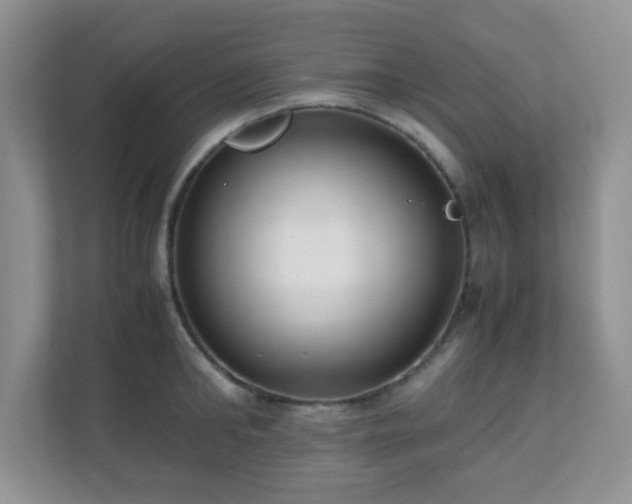 X0000110710902200906191545