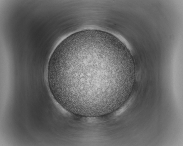 X0000110710903200906191545