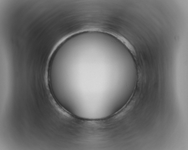 X0000110710904200906191545