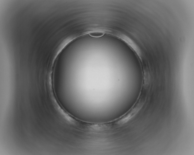 X0000110710906200906191545