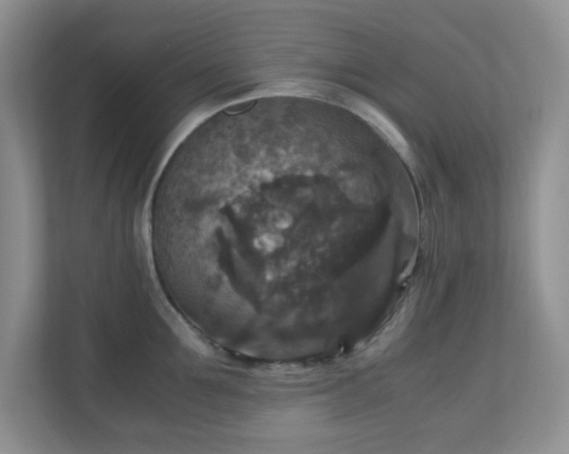 X0000110710907200906191545