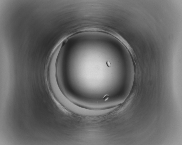X0000110710909200906191545