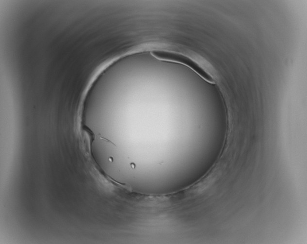 X0000110710912200906191545