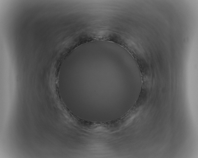 X0000110710913200906191544