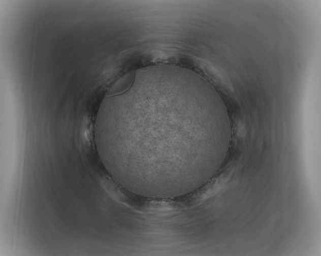X0000110710914200906191544