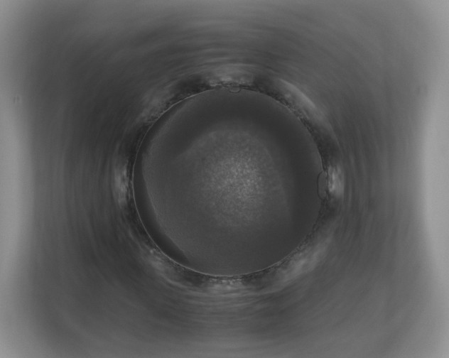 X0000110710915200906191544