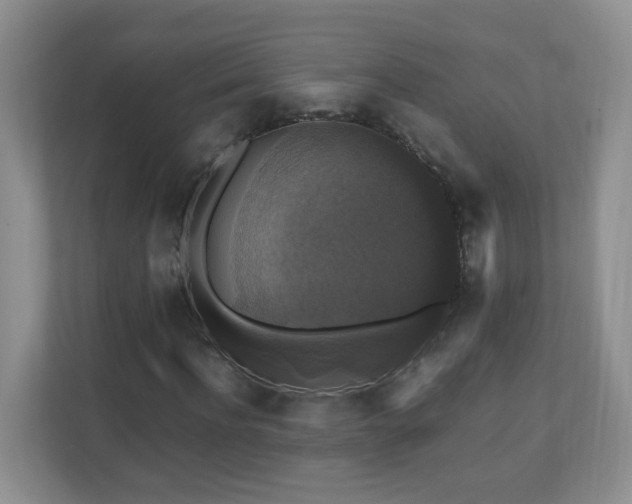 X0000110710916200906191544