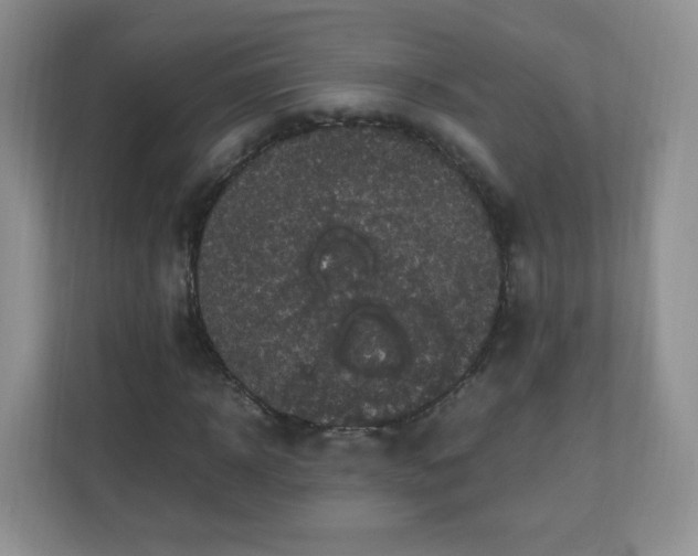 X0000110710918200906191544