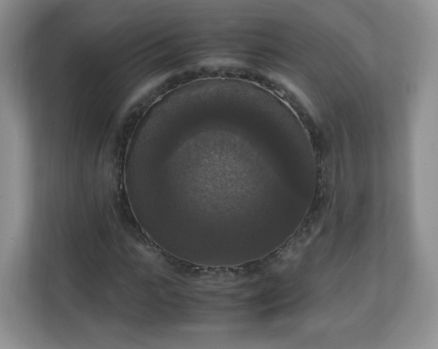 X0000110710919200906191544