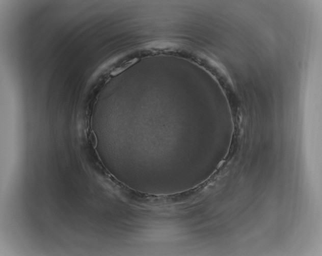 X0000110710920200906191544