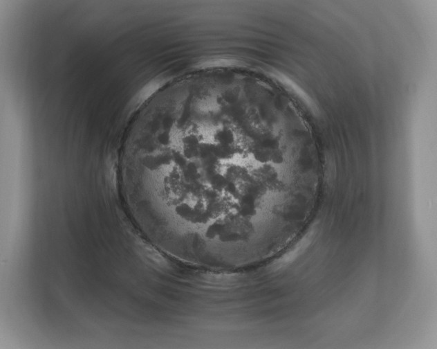 X0000110710921200906191544