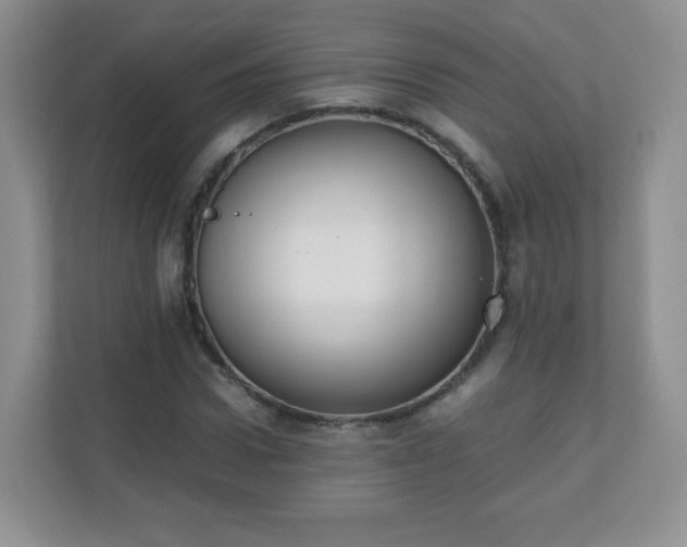 X0000110710922200906191544