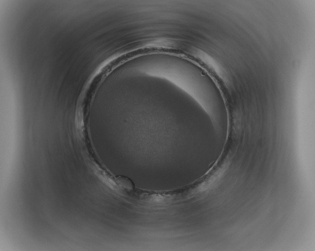 X0000110710923200906191544