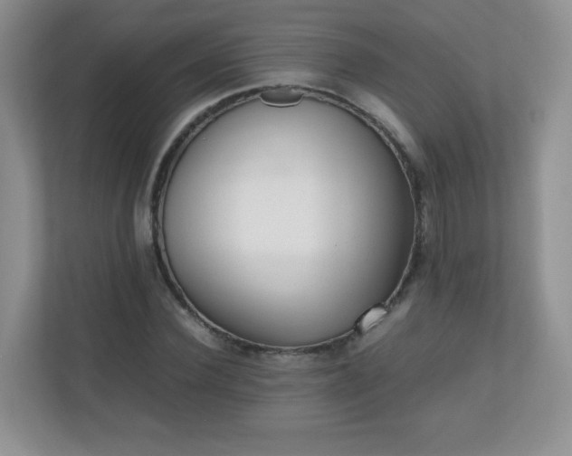 X0000110710924200906191544