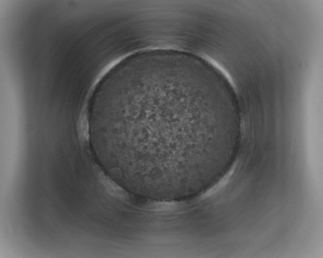 X0000110710925200906191544