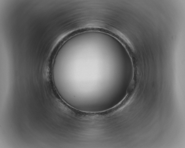 X0000110710926200906191544