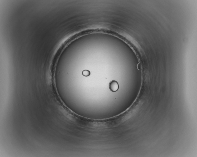 X0000110710927200906191544