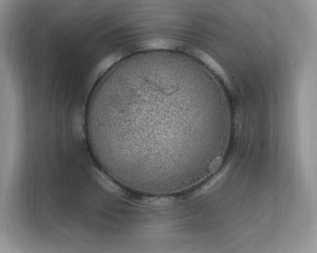 X0000110710930200906191544
