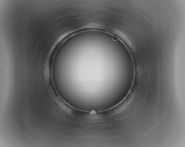 X0000110710931200906191544