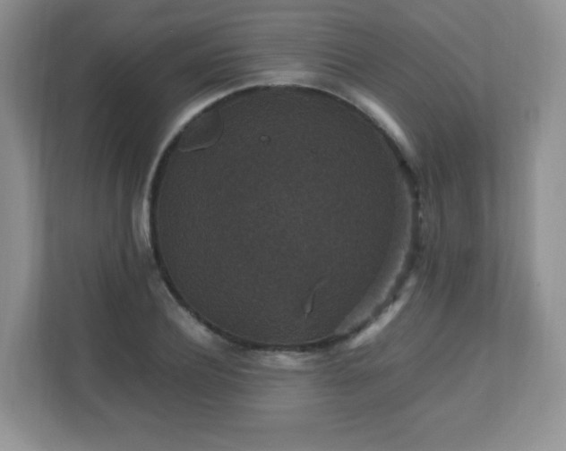 X0000110710932200906191544