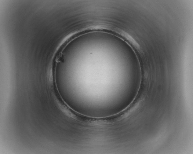 X0000110710934200906191544