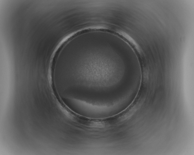 X0000110710935200906191544
