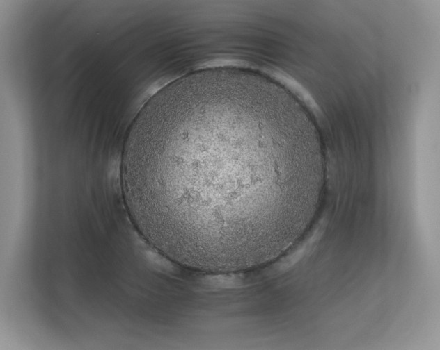 X0000110710937200906191544