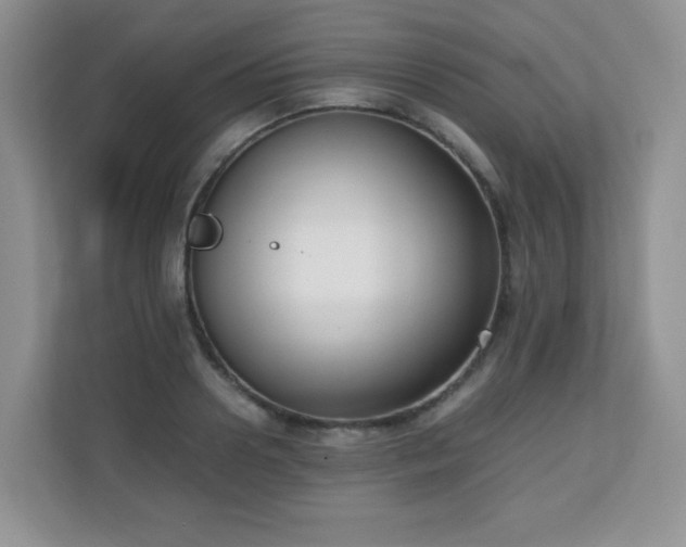 X0000110710938200906191545