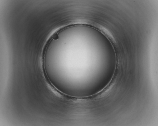 X0000110710942200906191545