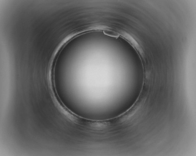 X0000110710947200906191545