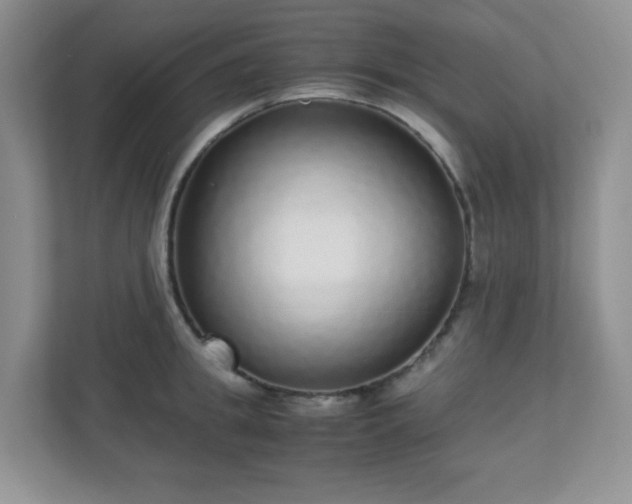 X0000110710949200906191545