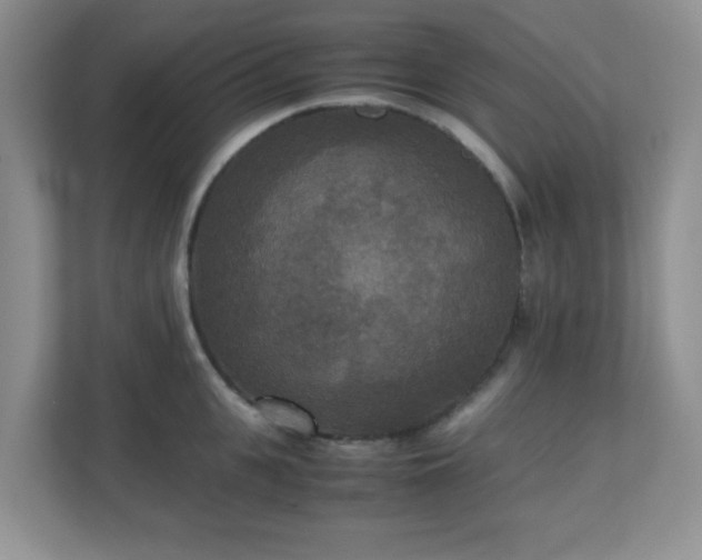 X0000110710951200906191545
